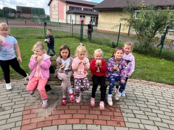 584819c2-8ce0-4157-932a-70cf90a6a55f.jfif