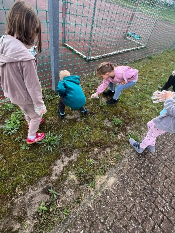 de9d9330-36d5-4be6-abd1-edb79a9ff740.jfif