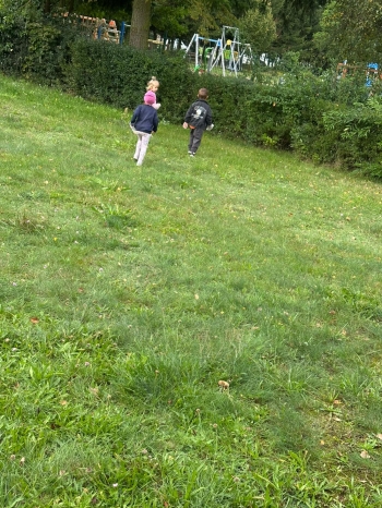 04d364a9-f94d-45c3-bc25-e6cdd1406ee7.jfif