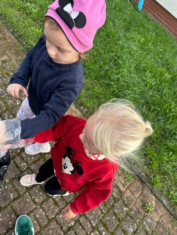 8d764e4c-4270-44cf-bf51-eb871c7f95de.jfif