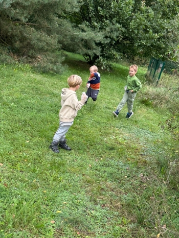 d882c6e9-3344-4797-88de-5cef15a45899.jfif