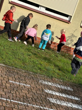 4155a7ae-d3af-47e1-a3a2-ca827fe669fb.jfif