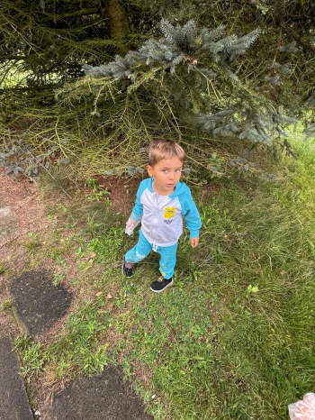 213e1d80-5036-4a7f-9db5-0714eb49f69b.jfif