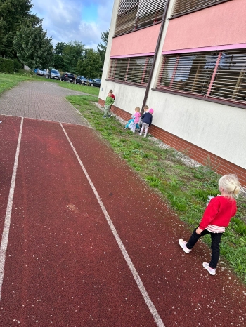 12612399-c238-4147-a3f1-ae0070818690.jfif