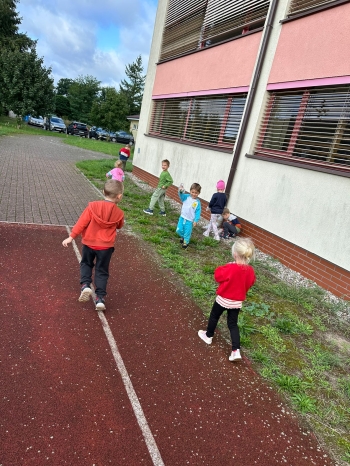 f0055e52-4608-4069-81f6-bde1749c5ec3.jfif