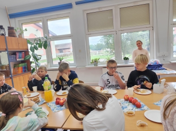 091a8a95-9d15-4edb-bcdf-3559b18cadf8.jfif