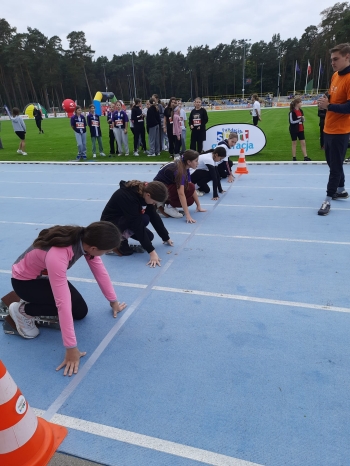 b28af081-2888-4777-9729-97b5724a95d7.jfif