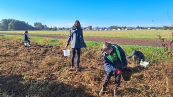 0db2c93e-0d05-43ff-97d5-e16ff2d436b0.jfif