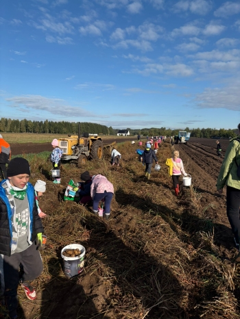 1c7f6f97-7a99-4104-a08b-4be21c07c584.jfif