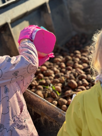 1fc54ca7-4d1c-4554-b3f1-8885ae9500fb.jfif