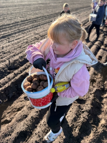 2e792a9f-0d27-41cd-b32d-450200553fe2.jfif