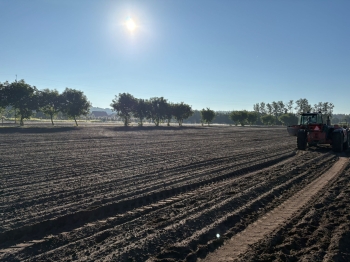 4a2f9d5c-c5b8-427a-9ce8-b984d4c928fa.jfif