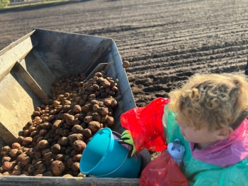 4e6ebbd0-76f3-4f88-95e1-13c4a968e931.jfif