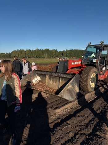 5d97e019-55eb-4373-b8f0-0fbab794cd28.jfif