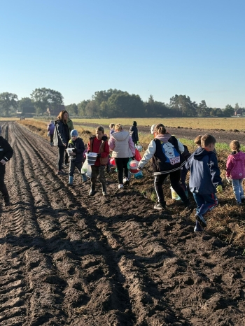 6e917eac-82c3-4ce3-827b-4c33d4fd605d.jfif