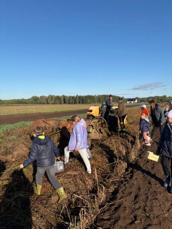 7e18a285-e55d-405e-8147-88f83eab8a5c.jfif