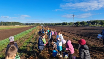 8a73c63b-8403-4546-beae-6ac1ee9a9534.jfif