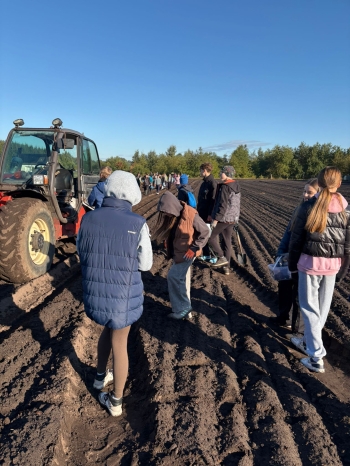 9d8b0b5f-956e-4e1a-bb78-7eeca4b823c9.jfif