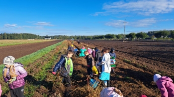 9f1a3ade-01c4-4f4c-bd61-98d41160ab49.jfif