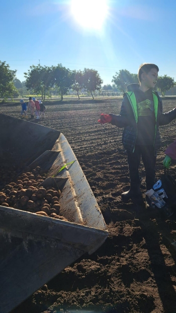 39b4670b-50b2-45b5-8040-8d761fdebe10.jfif