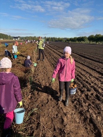 32fcc887-93a3-4fdb-b444-fe31d15eead7.jfif