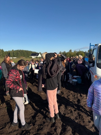 61a209be-f7e7-4495-9e31-2e2ebe66bb11.jfif