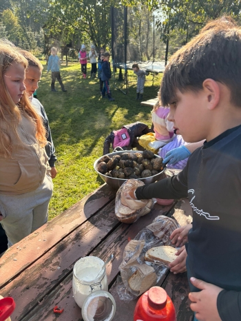 87f2055d-9833-4560-995c-2ef6835dc5f3.jfif