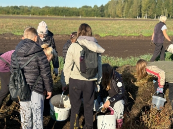 98ebf7d9-36db-41ab-8581-39596f618cc4.jfif