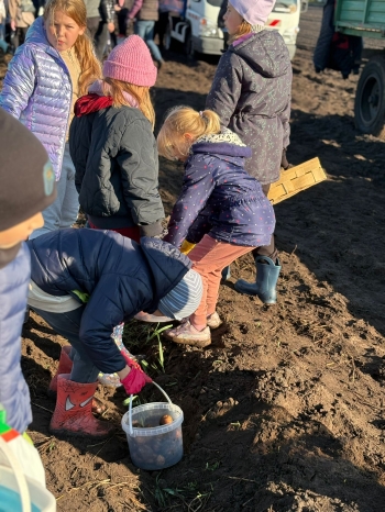 411db285-72d0-41d6-8352-2889e35bf6b1.jfif