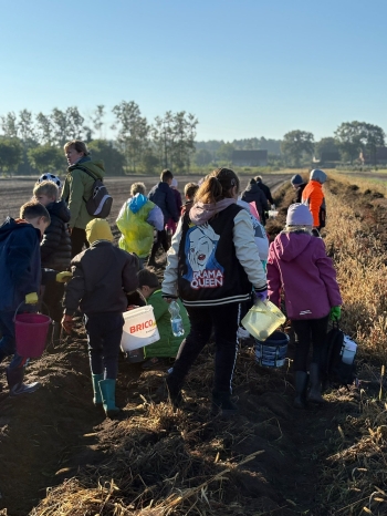 446d04b5-377a-428a-9961-35d1a76446d4.jfif