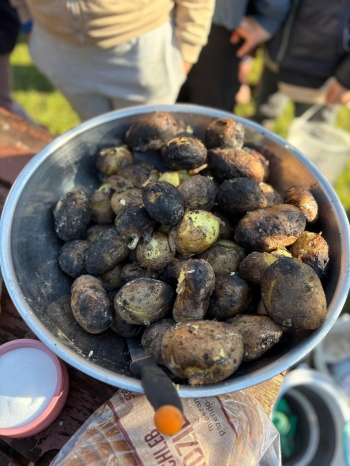 594d152a-9b5b-421a-b8fc-74d732b791ad.jfif