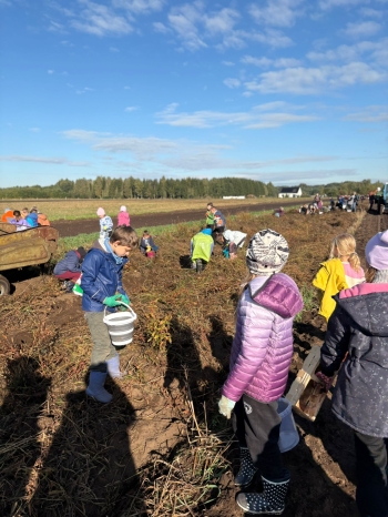 767cdcbc-8dd7-400a-9cf2-02908f676cb5.jfif