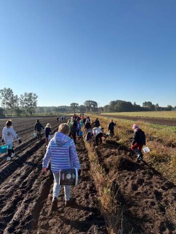 807be836-5a64-4bb9-becb-b81946343a97.jfif