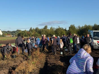 848a5570-4306-4eb3-a46c-117189a003a8.jfif