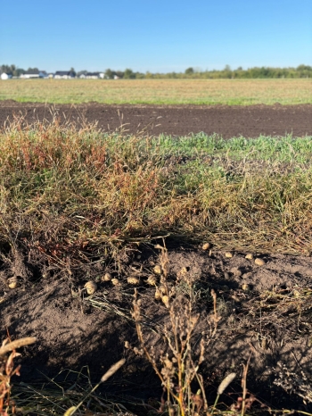 16428a3e-154b-4dba-98e5-f74a988b31b7.jfif