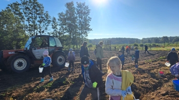 948646d5-4f89-41fd-bfe5-a753f7745041.jfif