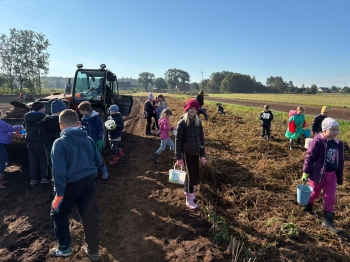 2810001e-f1fd-4393-8aff-9daa6966e3e2.jfif