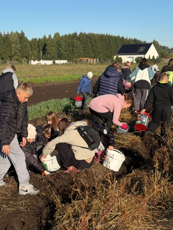 a3b8f217-2dbd-42ad-a98f-5507aa9ecae8.jfif