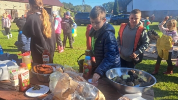 a97f66a6-a327-46a5-a51a-2cfed78fcd00.jfif