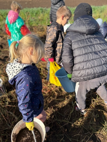 b1bc76c3-7a32-4a86-a3c7-b26150cd491f.jfif