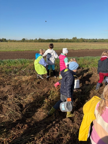 b7eef8ef-c0ff-47cb-b058-bafe181def00.jfif