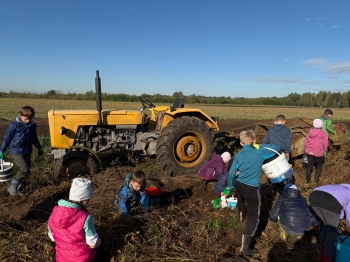 b52562d0-140a-4eec-a198-bd5cfb99cc97.jfif