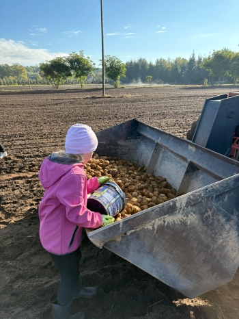 ba7e78c3-224b-4b9c-8cc7-3c74e6ce20e3.jfif