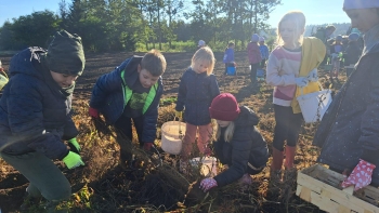 bb661e7f-0ad7-4927-83c7-e0f797a4af3e.jfif