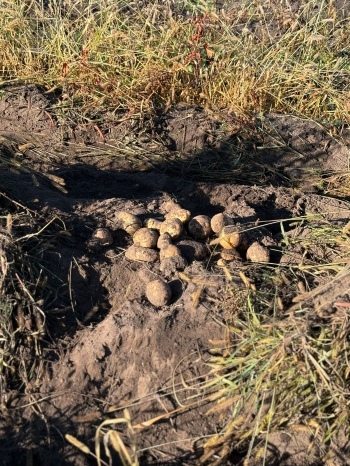 c00fd850-d27c-4cc8-86ff-6d9c34976d57.jfif