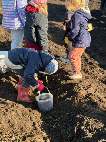 c101e448-d0b2-4bd2-b737-fb0ced120a72.jfif