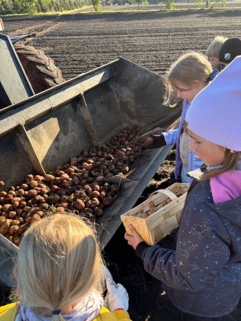 c912bc4a-6491-48e9-bd34-561e6f0bdc79.jfif