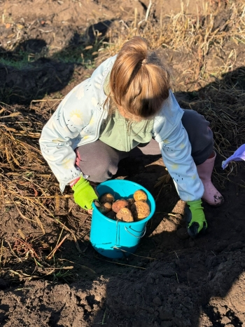 cee933e5-5c98-493c-a88a-41bccedf3ce7.jfif