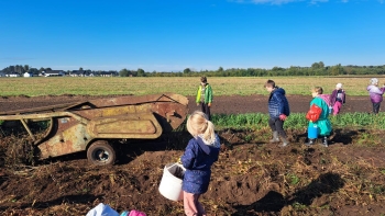 d4182f6d-039e-414d-8bb1-f227e0927fa9.jfif