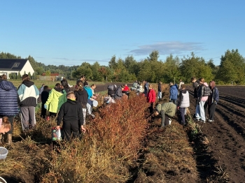 d5a1cb8d-c06f-4237-93c8-1452ba885c68.jfif